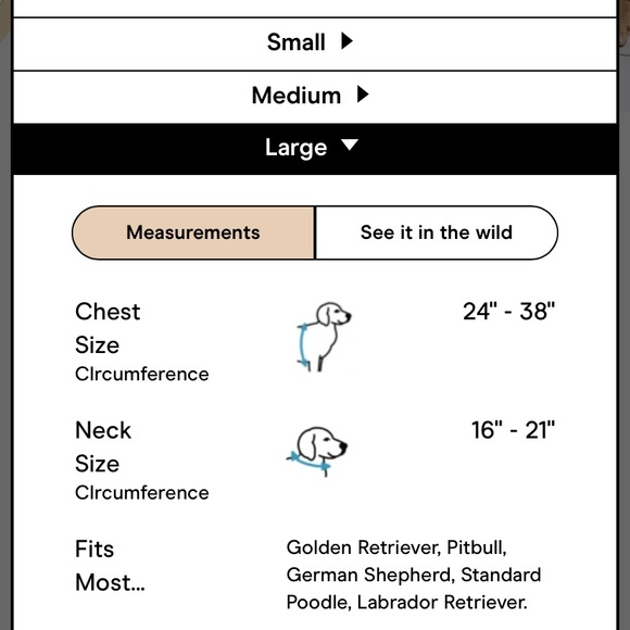 Wild One dog harness set + collar - Picture 8 of 10